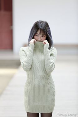 上门女婿叶辰小说